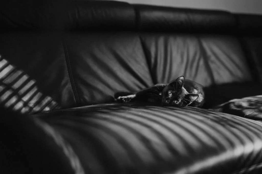 Fotograf Vöcklabruck