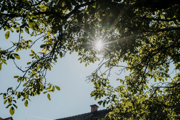 Hochzeit Ganglbauergut
