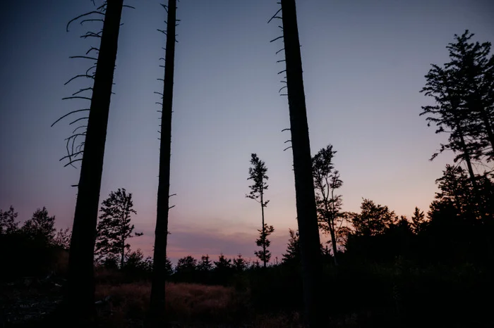 Babybauch Fotoshooting