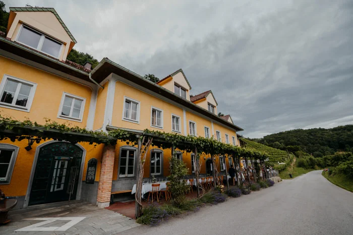 Der Manfred - Weingarten Maureder OG